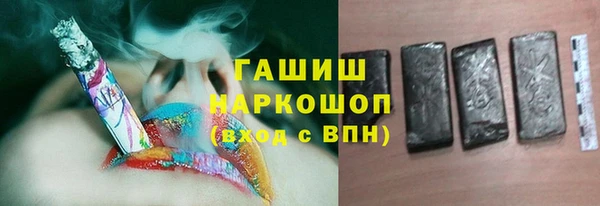молекула духа Новозыбков