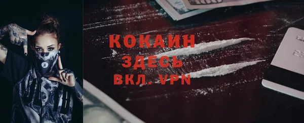 индика Абинск