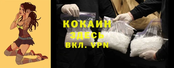 индика Абинск