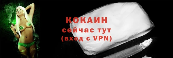 индика Абинск