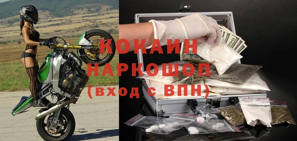 индика Абинск