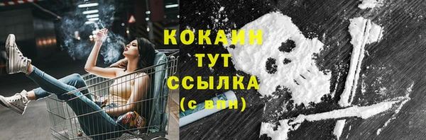 молекула духа Новозыбков