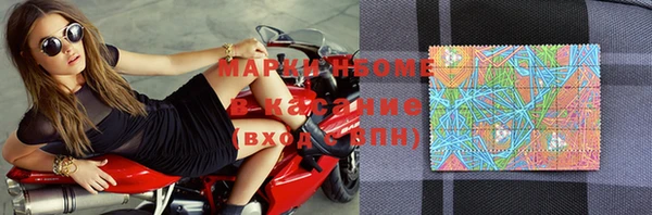 индика Абинск