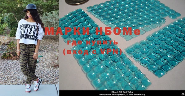 индика Абинск