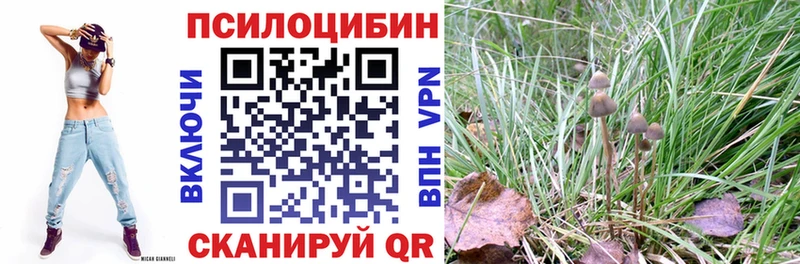 Псилоцибиновые грибы GOLDEN TEACHER  Саранск 